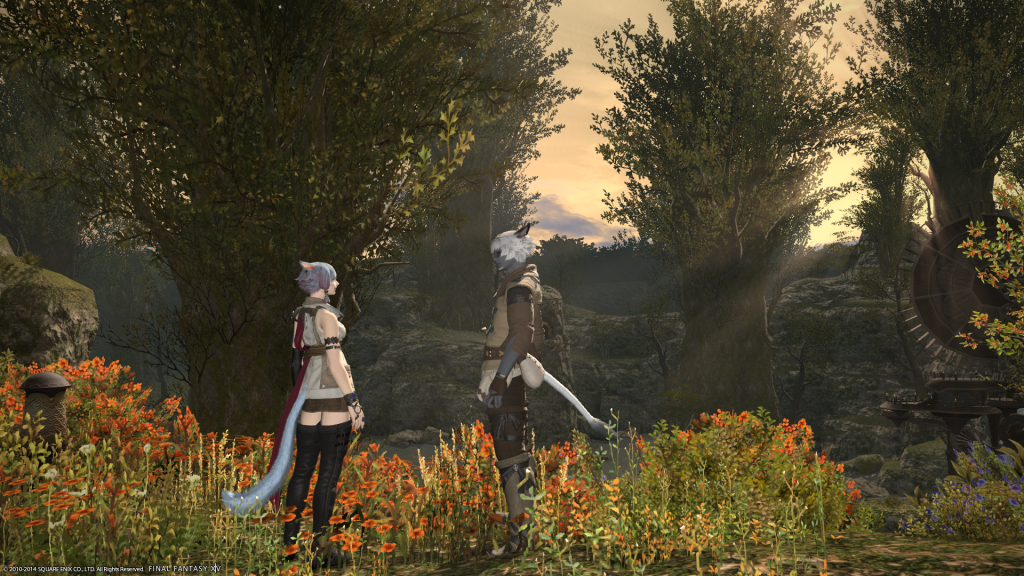 [Image: ffxiv_01022014_142922_zpsce57e767.png~original]