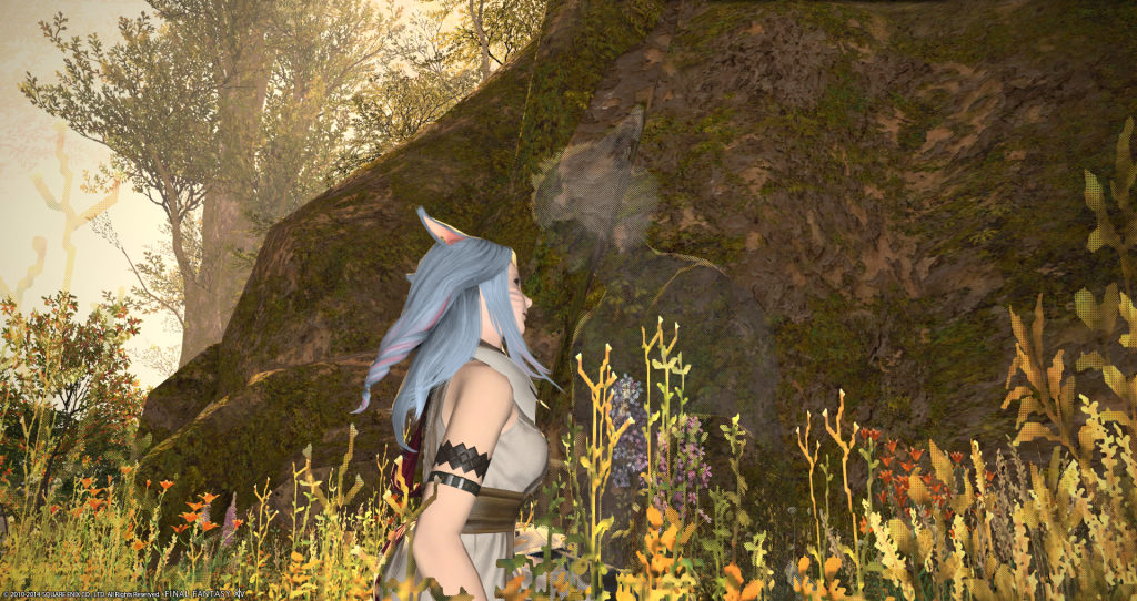 [Image: ffxiv_13092014_112816_zpsd218c8fe.png~original]