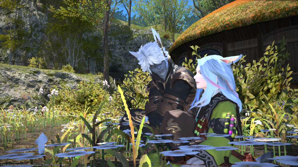 [Image: ffxiv_22112014_221903_zps31fd6a1d.png~original]