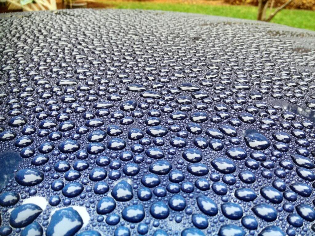 petesbeadingroof.jpg