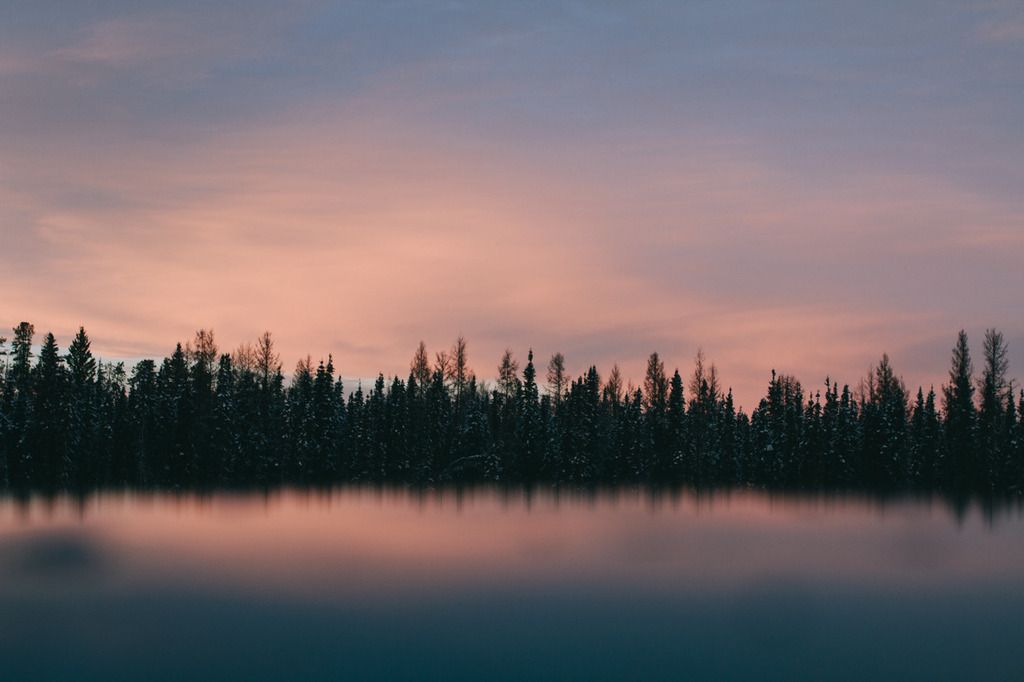 photo project 365