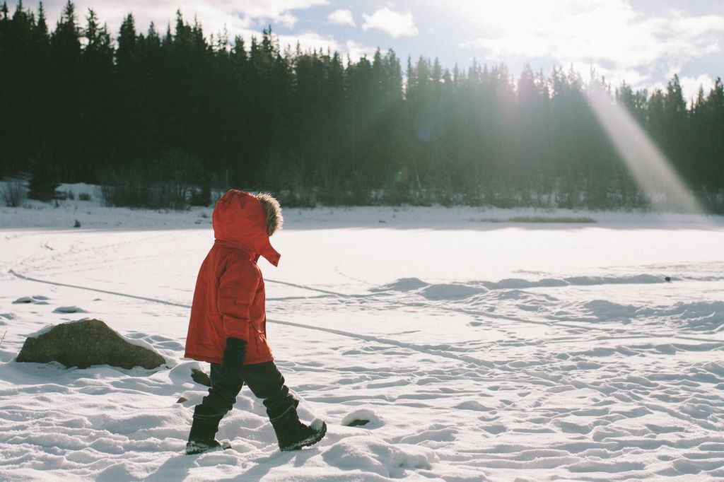 photo project 365, Canadian rockies