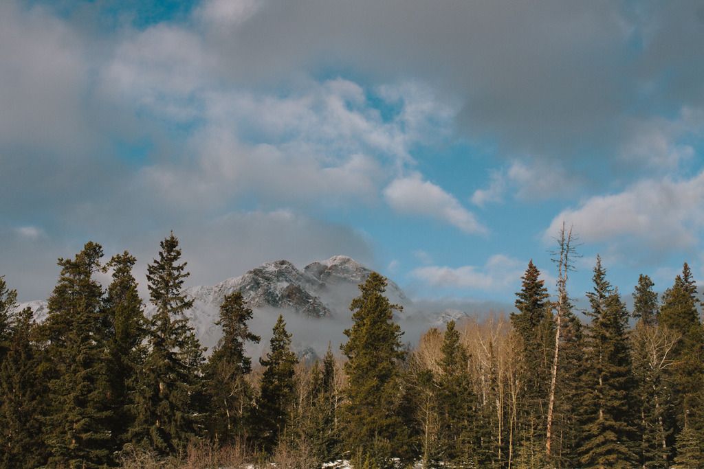 photo project 365