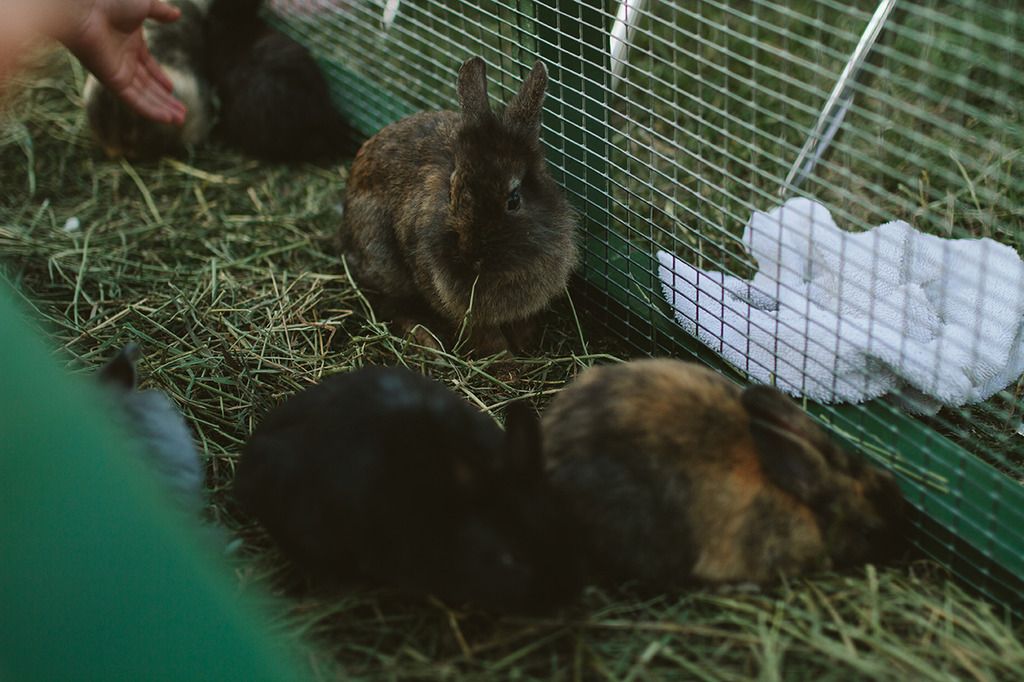 photo project 365