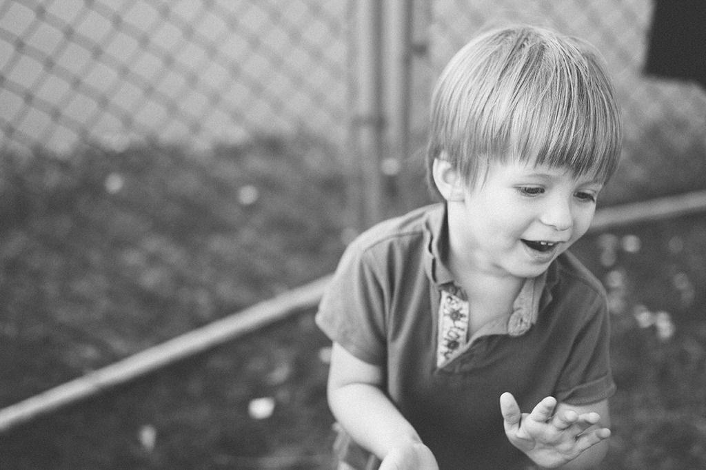 photo project 365
