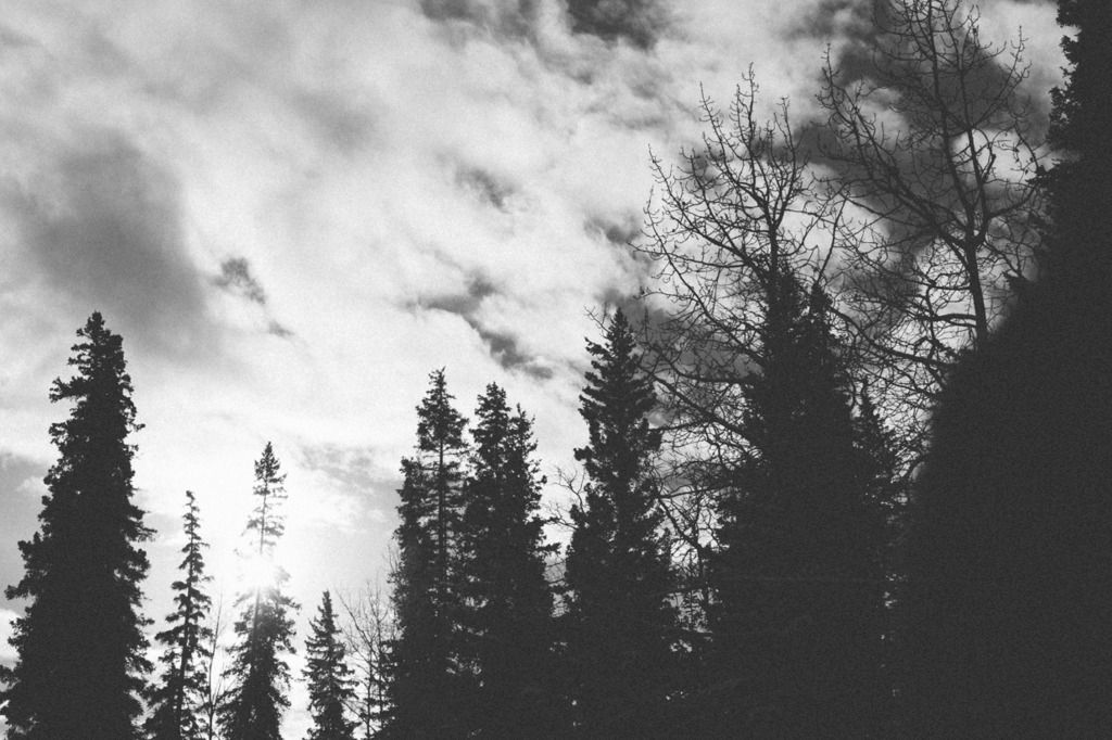photo project 365