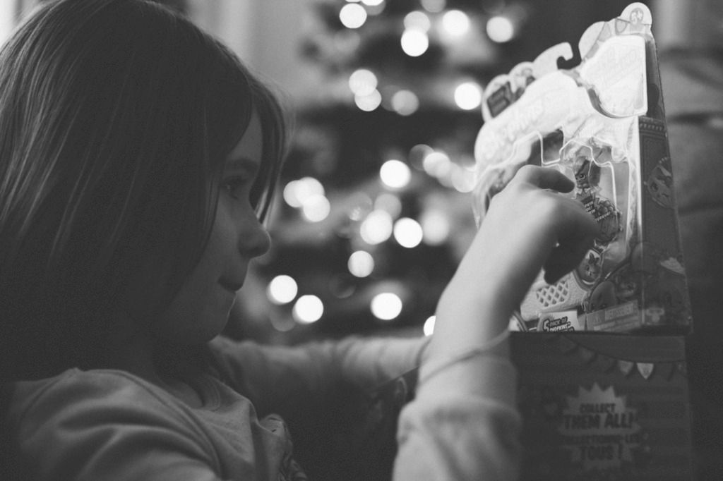 photo project 365, shopkins