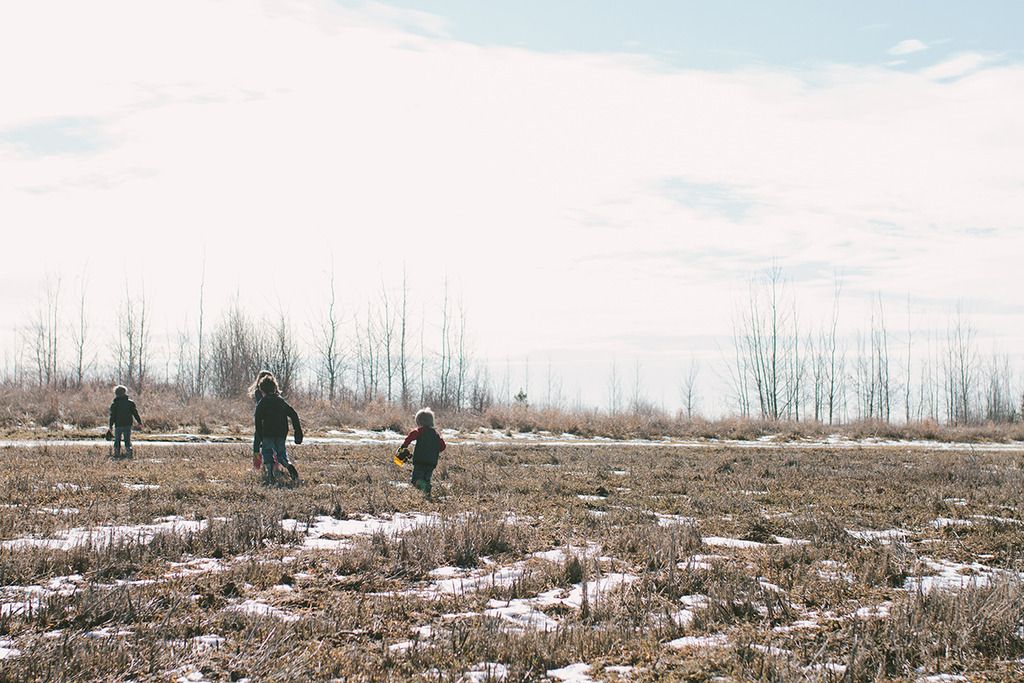 photo project 365