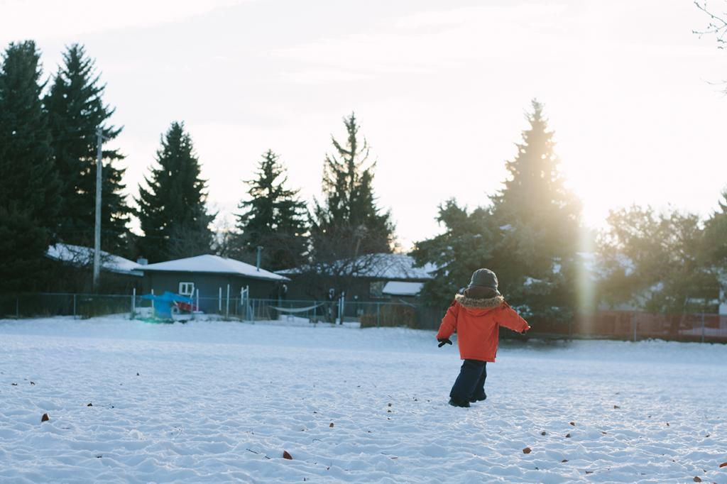 photo snowy field edmonton photographer