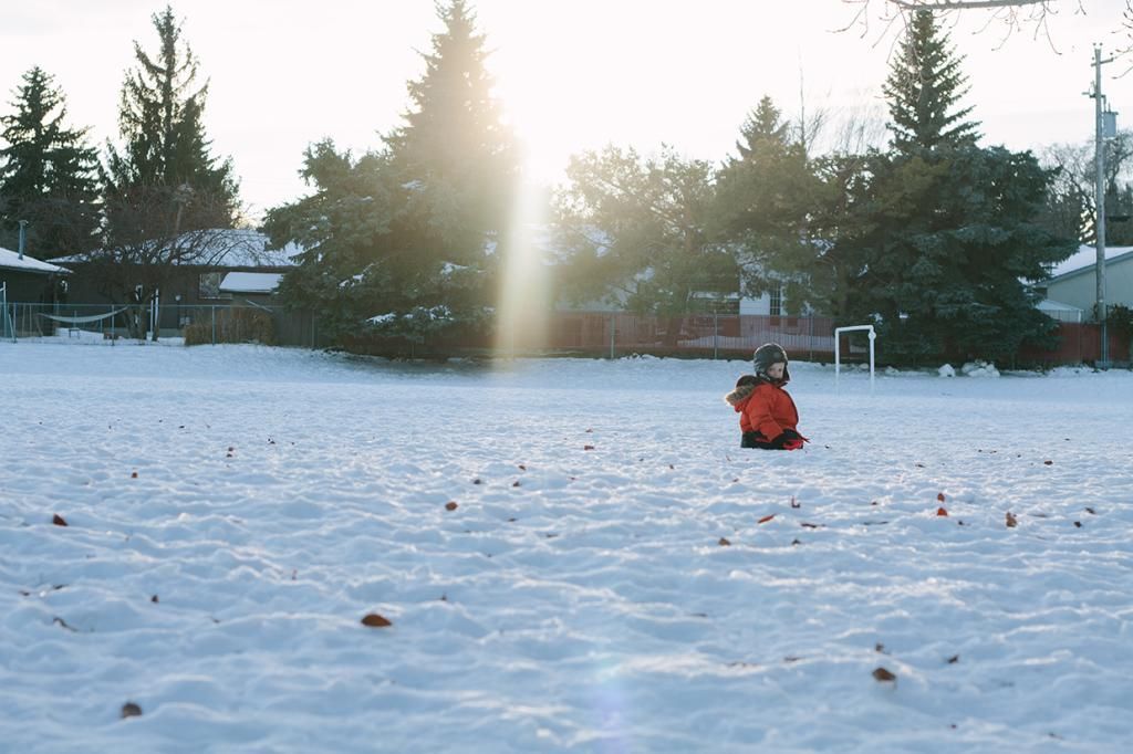 photo snowy field edmonton photographer