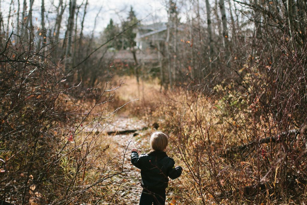 photo project 365