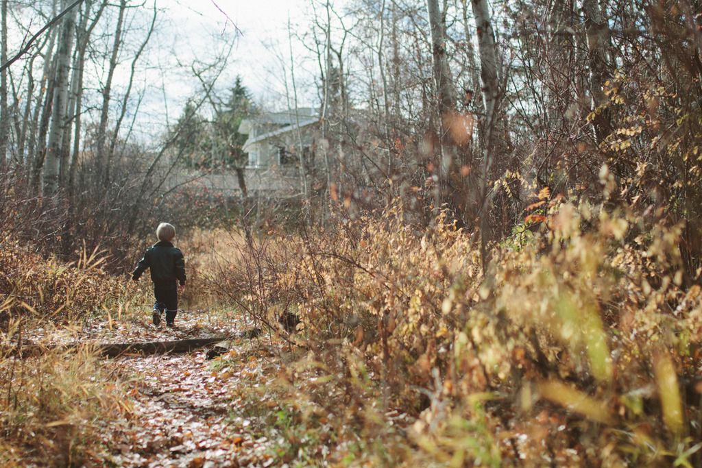 photo project 365