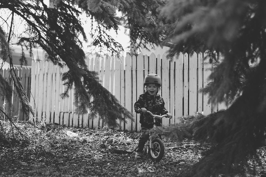 photo project 365