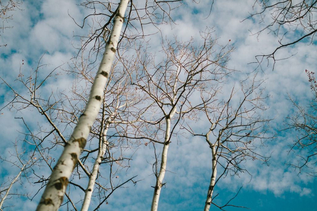 photo project 365
