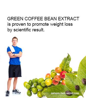 honest green coffee bean