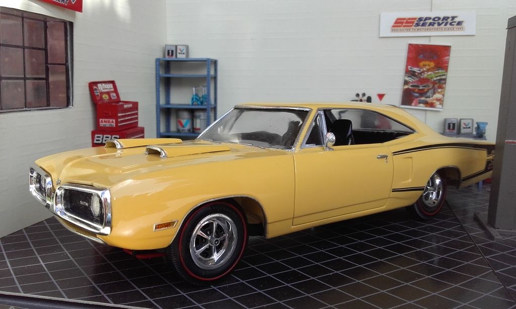  photo 20170131_161814_zpsg5k5xjsg.jpg