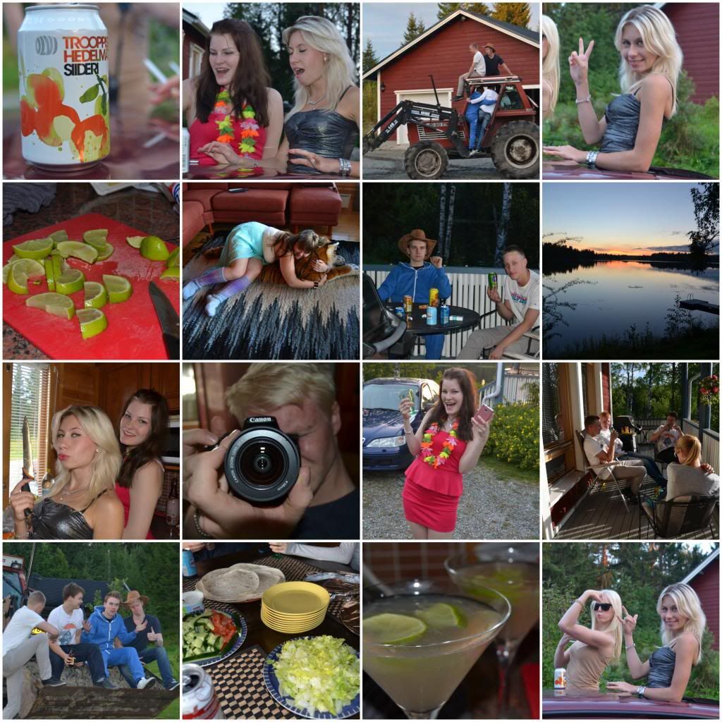 photo PicMonkeyCollage130_zps2f5dd9ad.jpg
