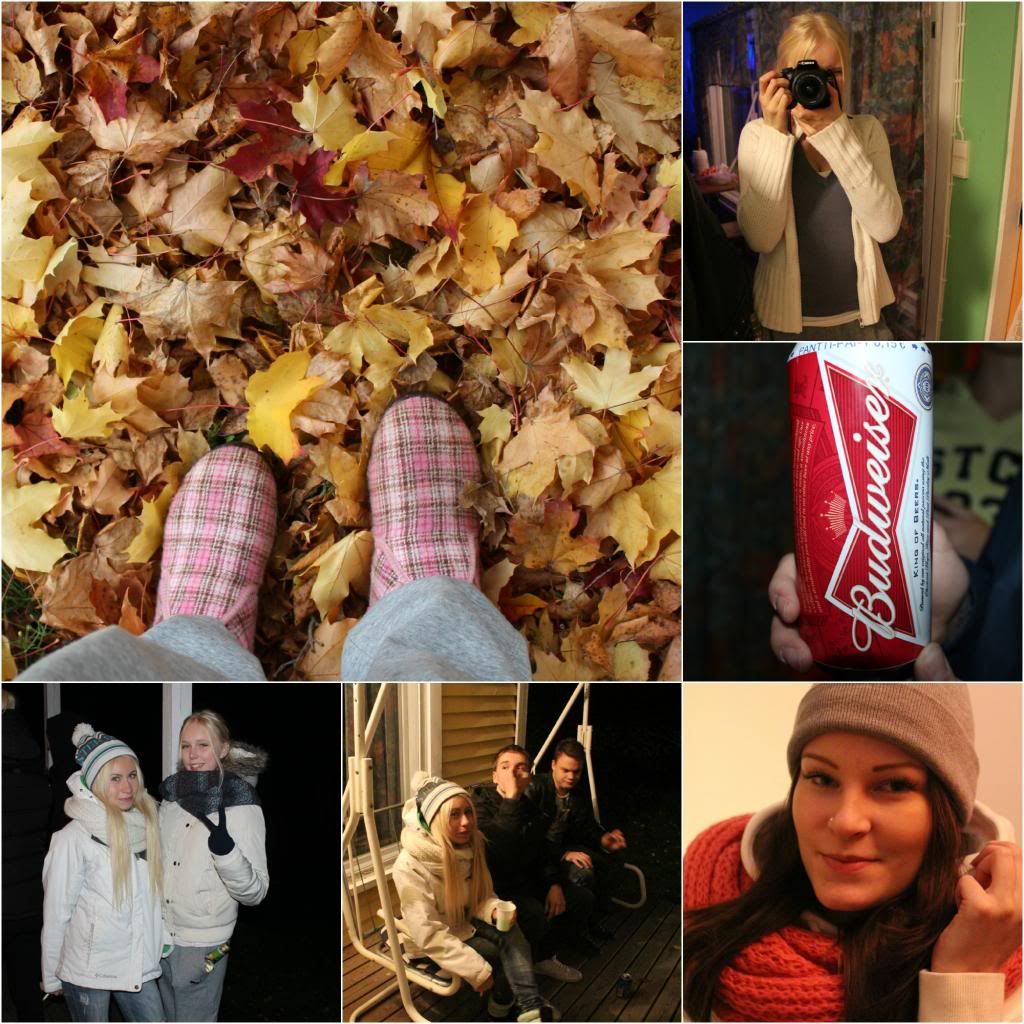 photo PicMonkeyCollagemouml_zpsda7bd044.jpg