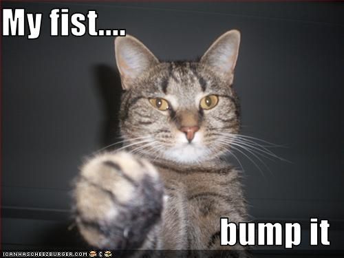 funny-pictures-cat-offers-fist_zpsff65f7