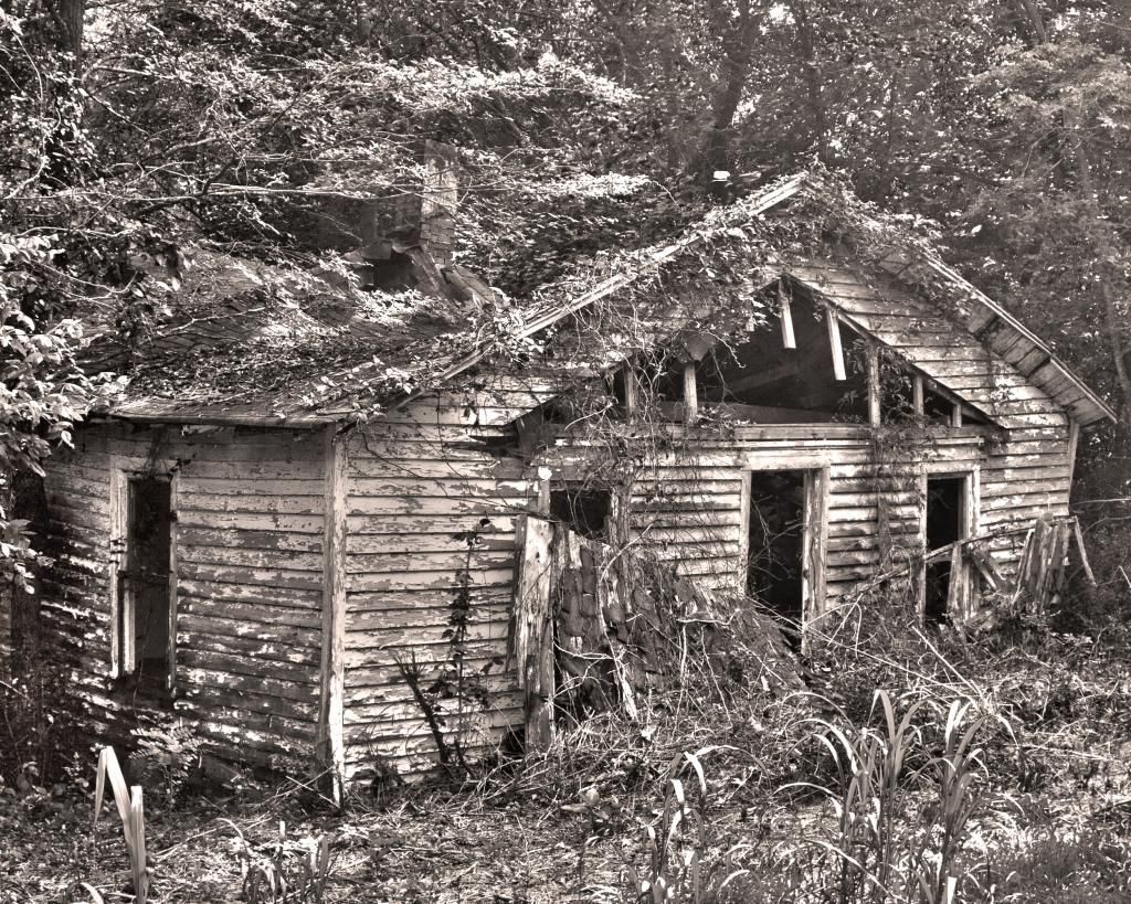 Lot2603Fallendownhouse8X10_zps6f35b31a.jpg