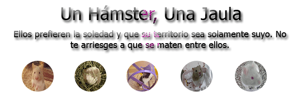 Imagen enviada