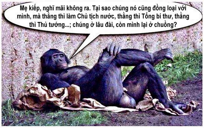 photo NghiMaiKhongRa_zpsxljplbms.jpg