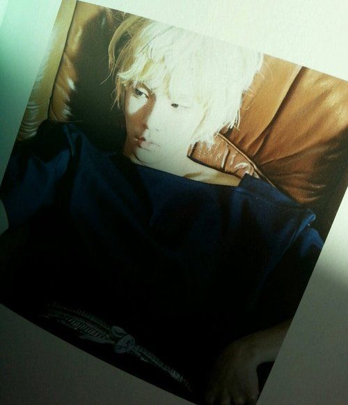 photo tumblr_mijrlmryQ21r6kebyo1_500_zps2e0a14f7.jpg