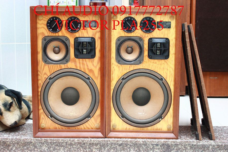 Bán loa  pioneer  s he 100  hàng khủng pioneer - 14