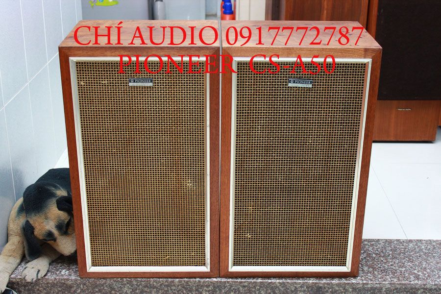 Bán loa  pioneer  s he 100  hàng khủng pioneer - 4