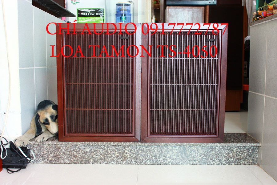 Bán loa  pioneer  s he 100  hàng khủng pioneer