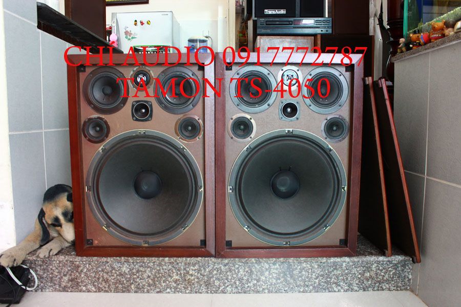 Bán loa  pioneer  s he 100  hàng khủng pioneer - 1