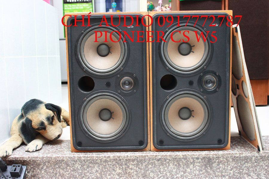 Bán loa  pioneer  s he 100  hàng khủng pioneer - 10