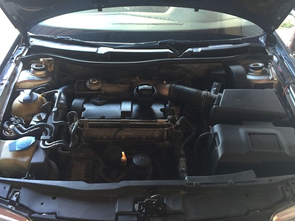 161FF763-D08C-442C-BDD5-DCCE2A156C76_zps