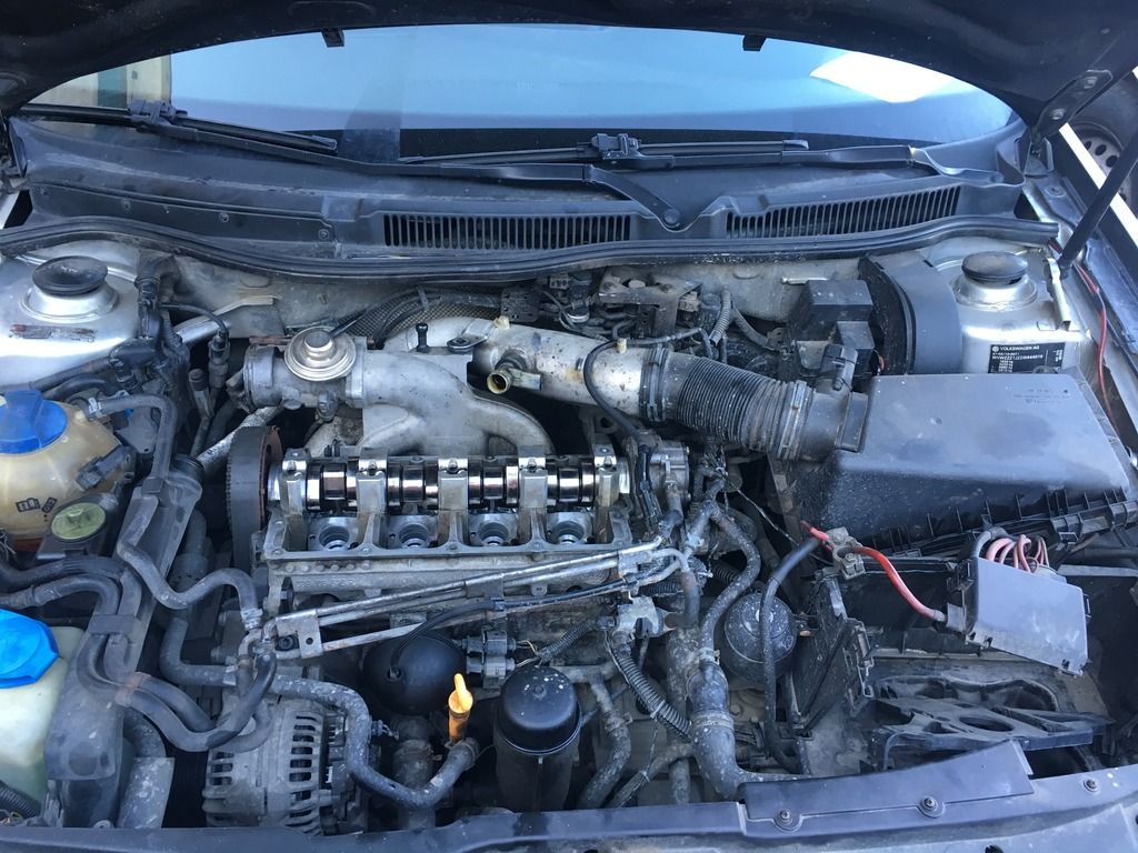 52014CD5-292C-46A7-BA43-3B158BBBFE79_zps