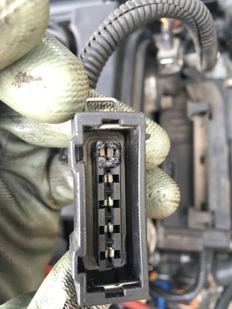 5F55FCA1-0004-4840-BF01-138DBD12A8C3_zps