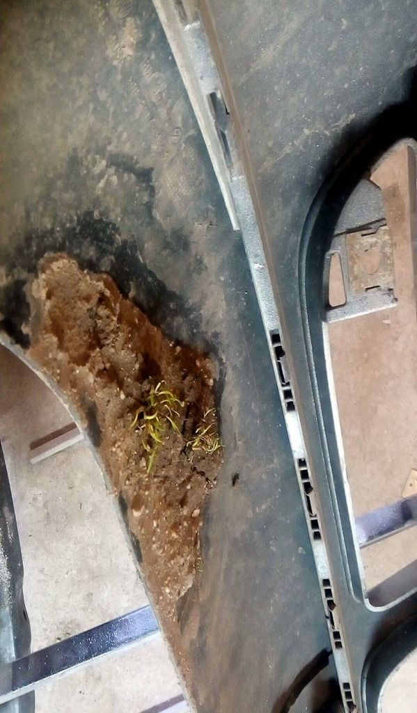 67360085-C667-49F6-A413-EF9BD7D7475E_zps