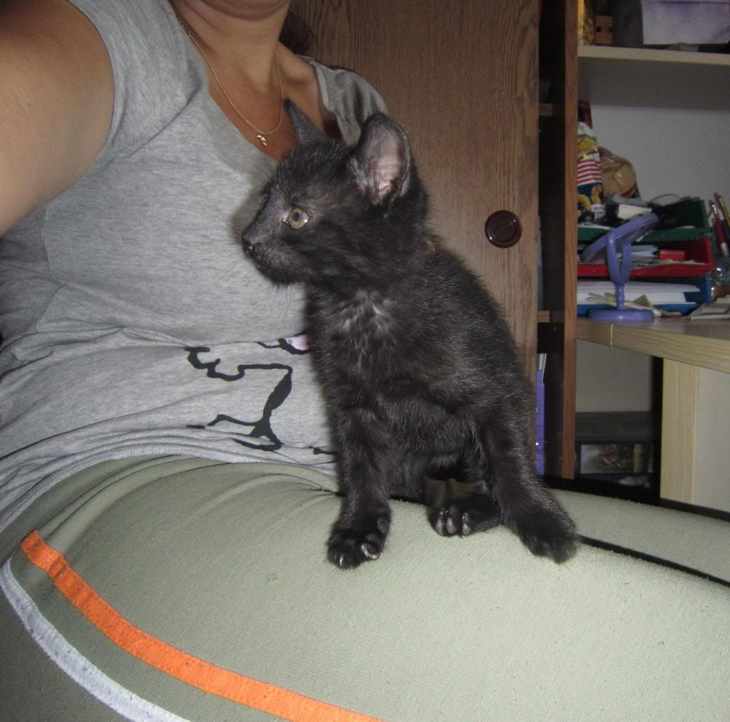 Slika