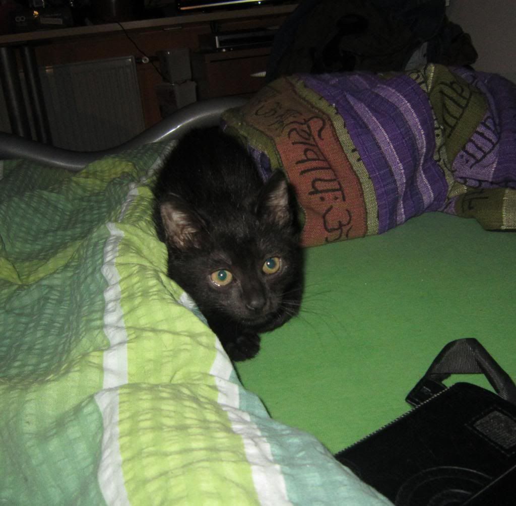 Slika