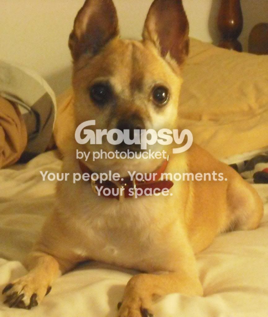 User Image