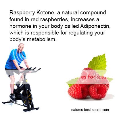 optimum raspberry ketone