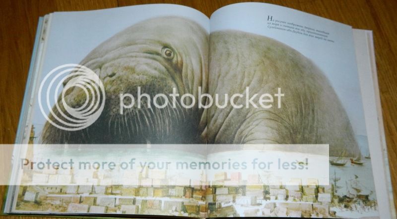 Сказки Киплинга от «Махаона» и «Октопуса»